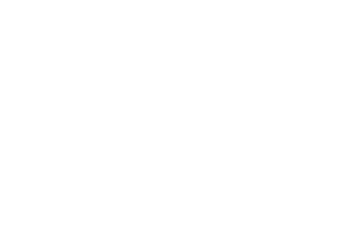 CarnivalismxShoes Logo